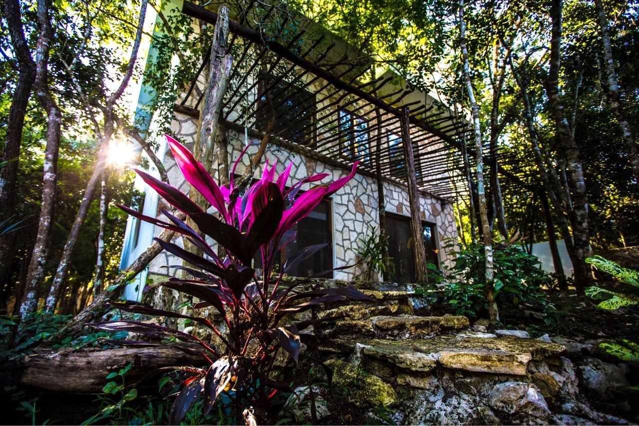 Bed and Breakfast Escarabajo Rojo Tulum Exteriér fotografie