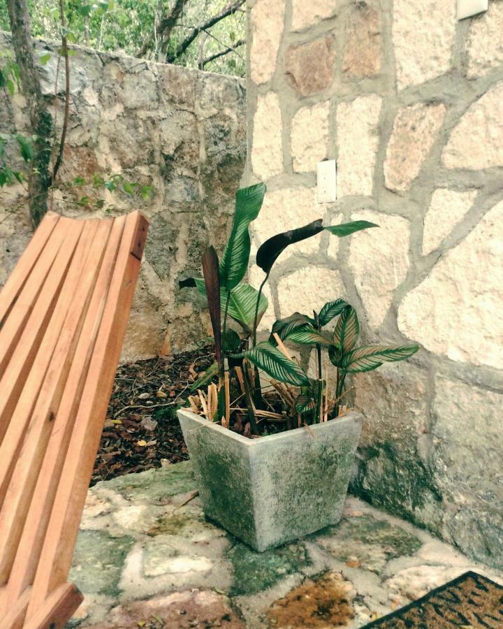 Bed and Breakfast Escarabajo Rojo Tulum Exteriér fotografie